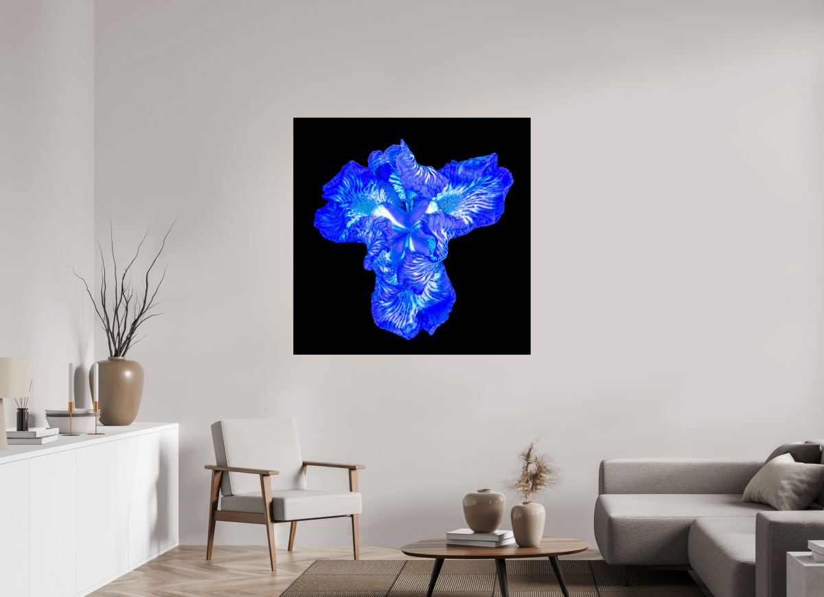 Iris of the Luminous Heart - Idealart