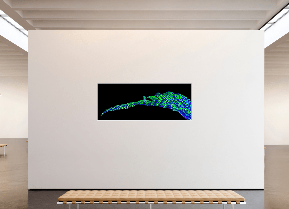 The Line of Origins - Idealart