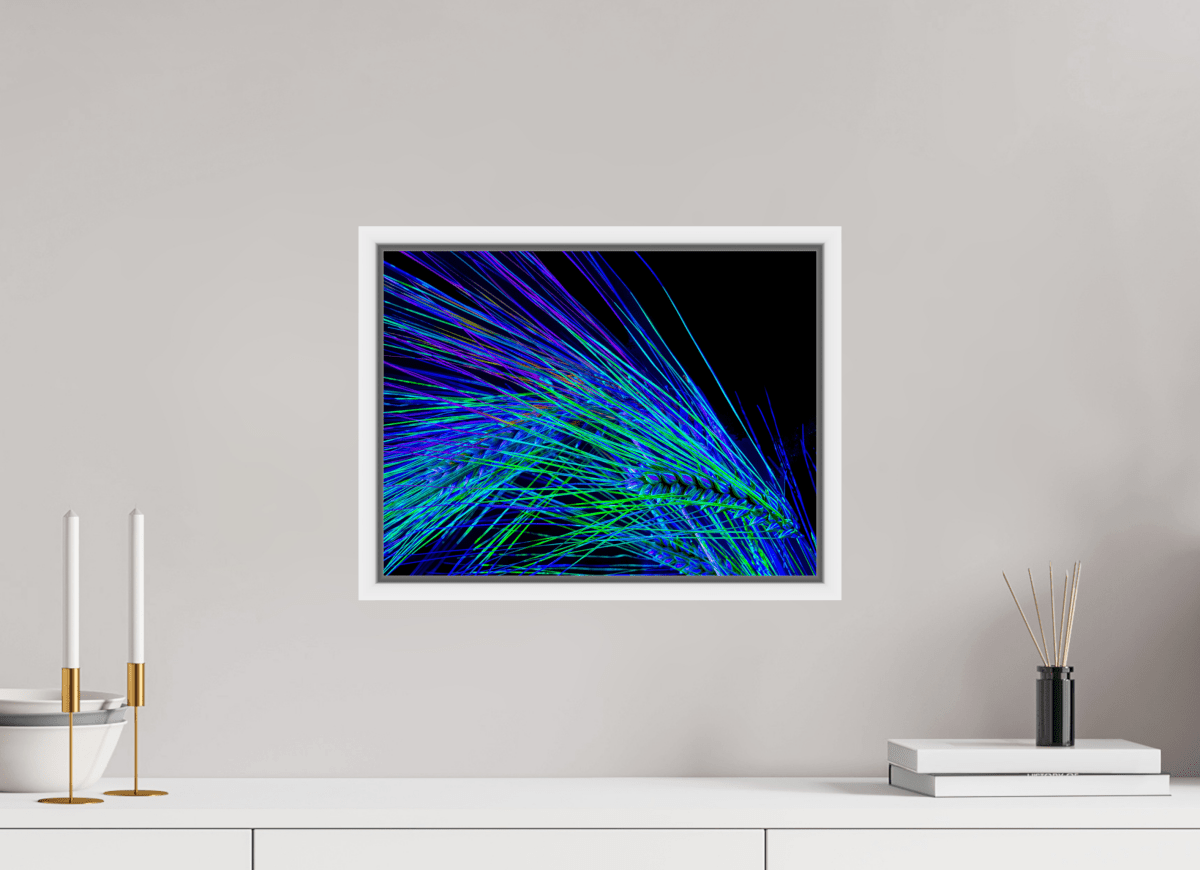 Dance of the Electric Ears - Idealart