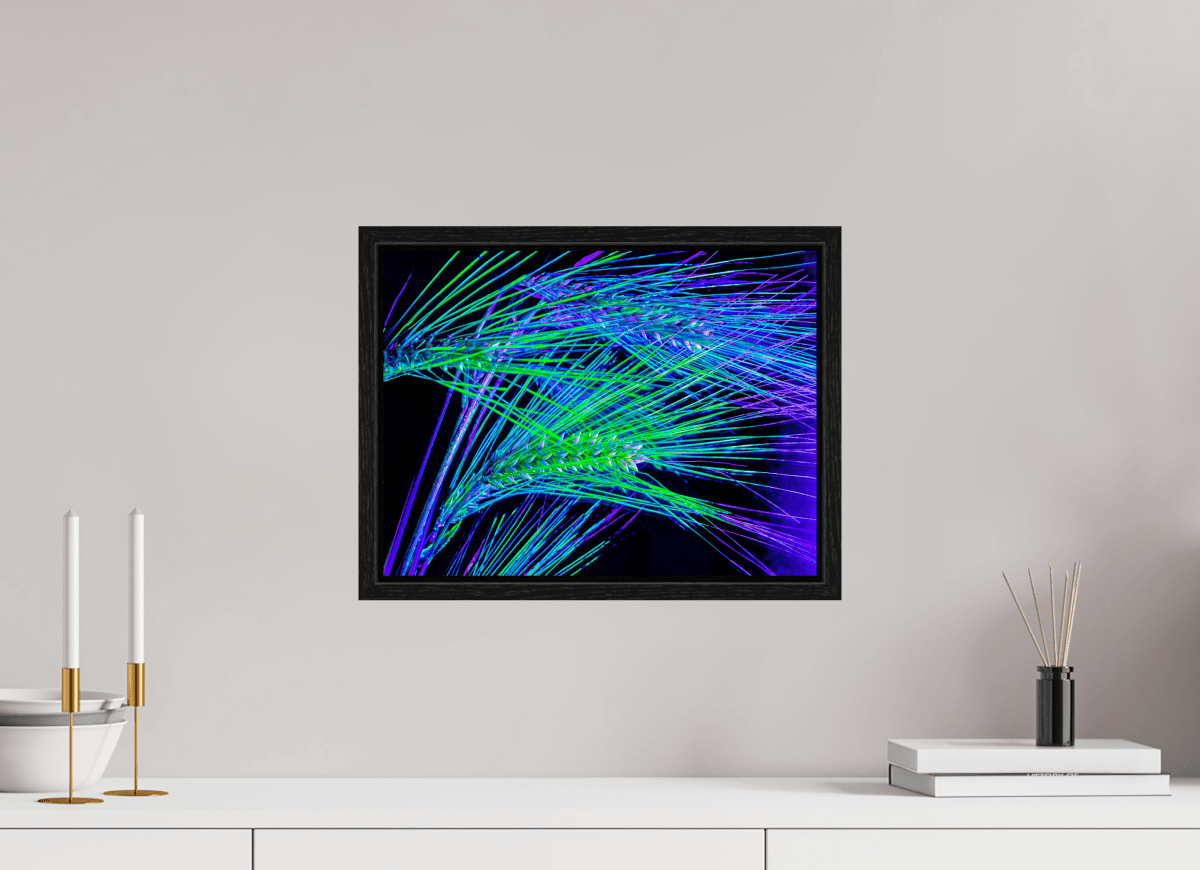 The Lines Where Light Runs - Idealart