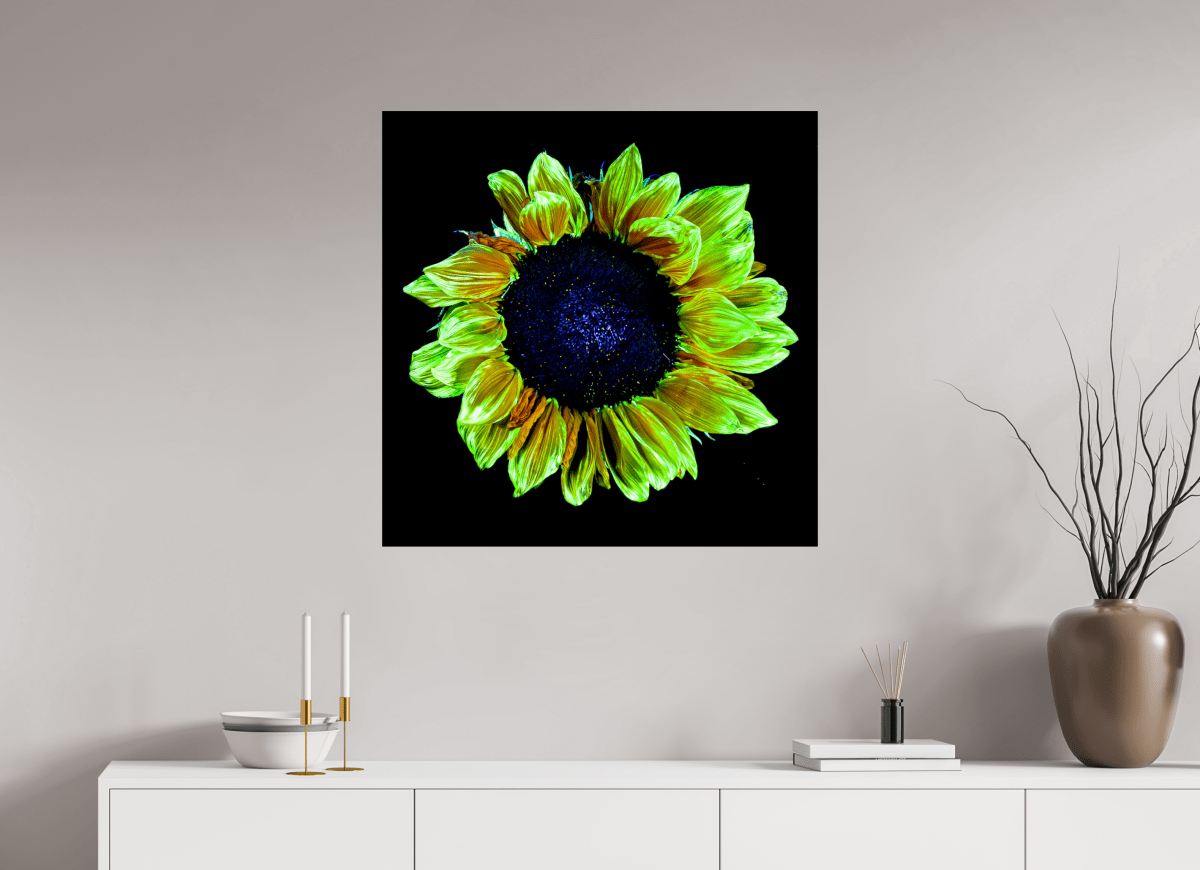 Crown of Light - Idealart