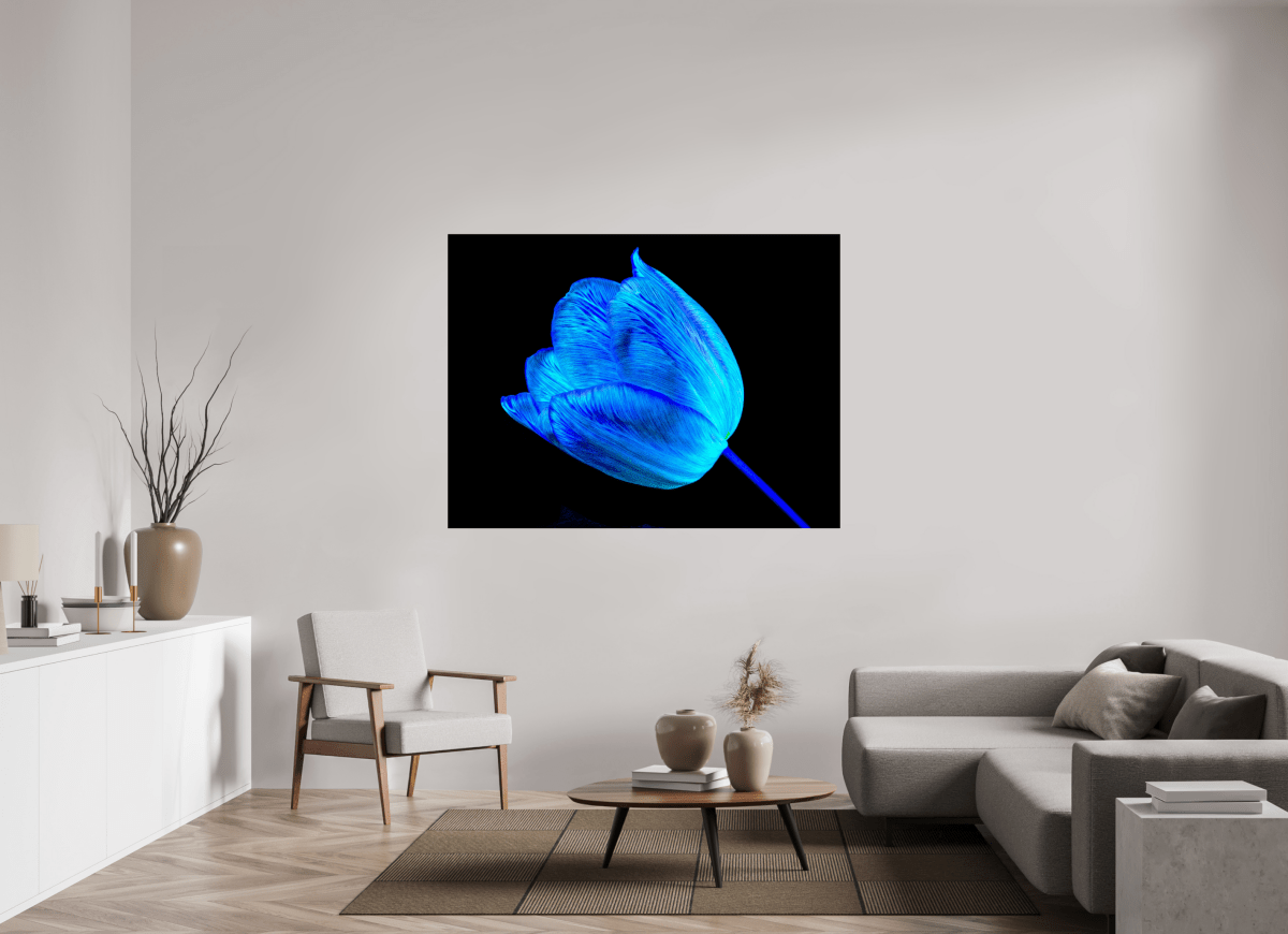 Sheltered by your light - Idealart