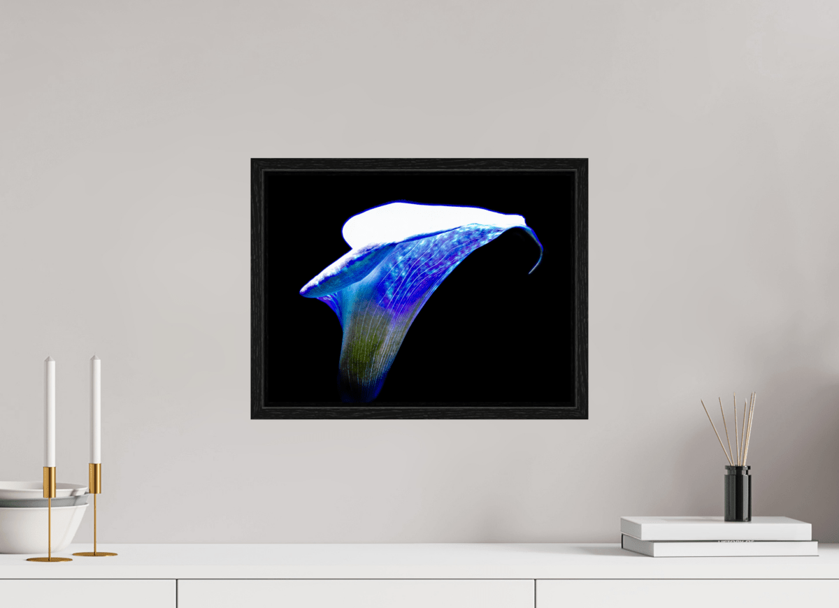 The Wing of Light The Voice of the Ethers - Idealart