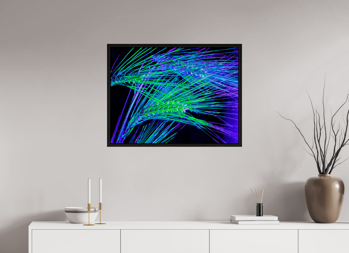 The Lines Where Light Runs - Idealart