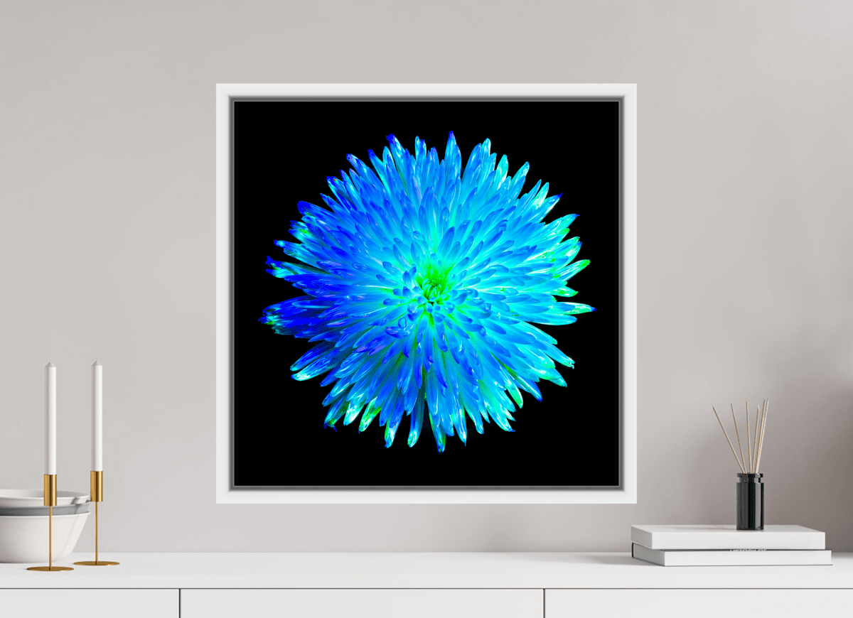 The Blue Star - Idealart