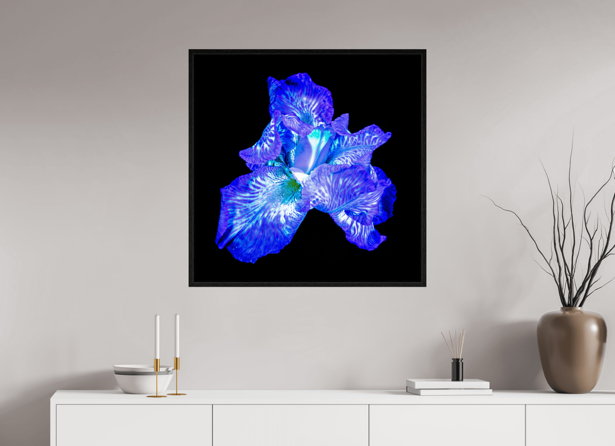 The Opal of Shadows - Idealart