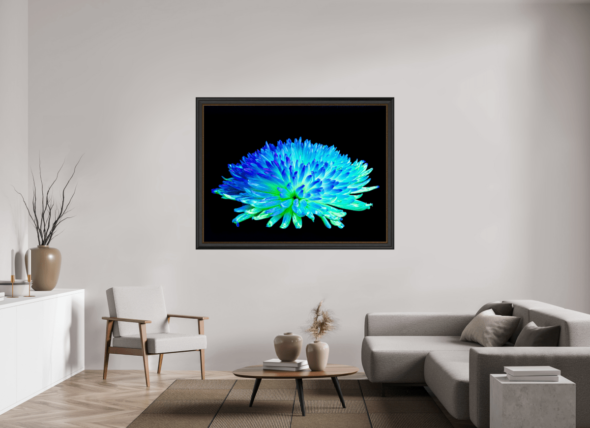 Splendor of an Unknown World - Idealart