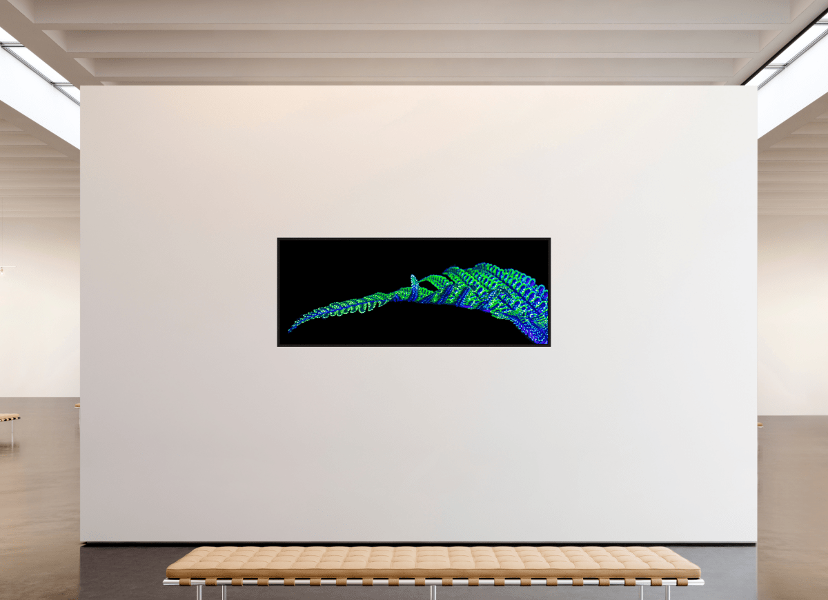 The Line of Origins - Idealart