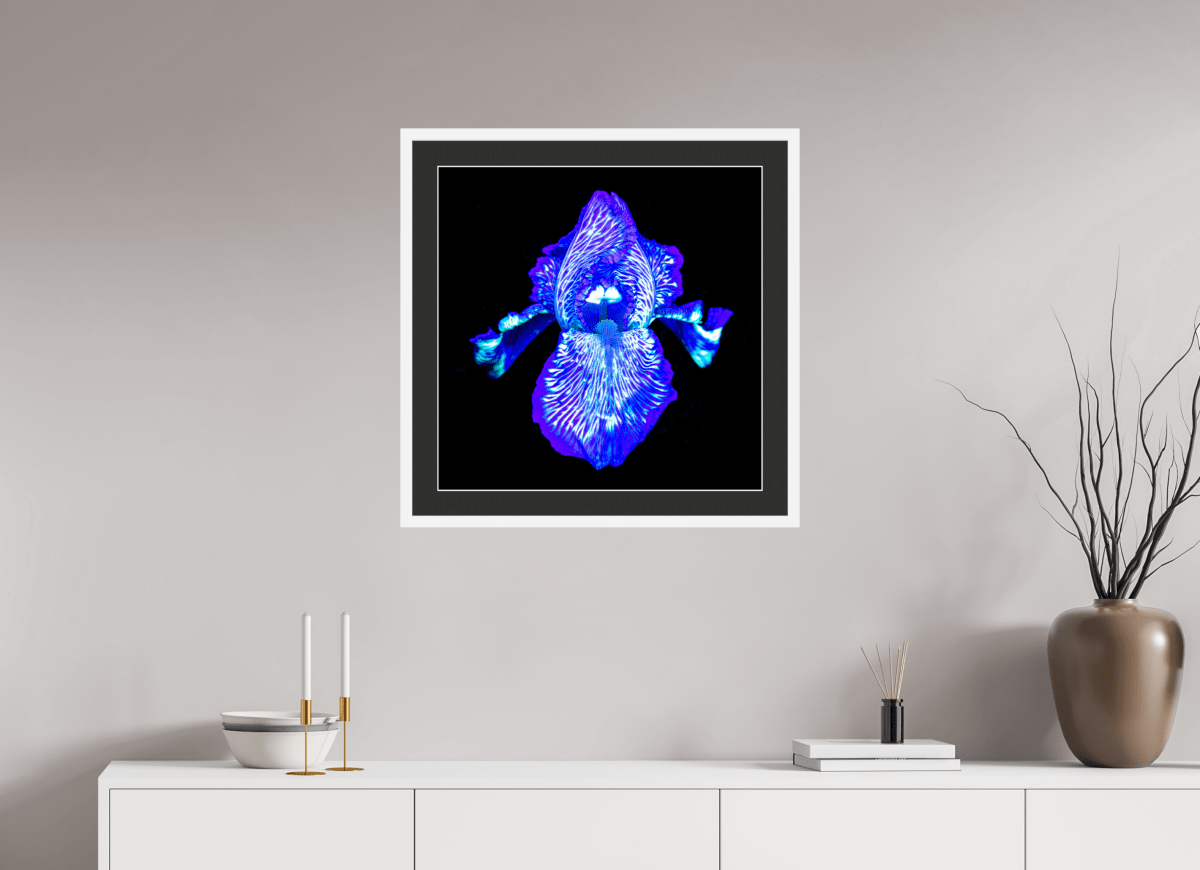 Iris of the Luminous Depths - Idealart