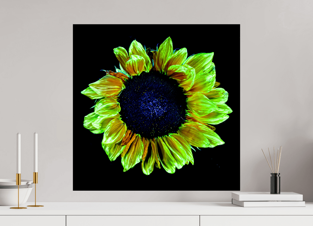 Crown of Light - Idealart