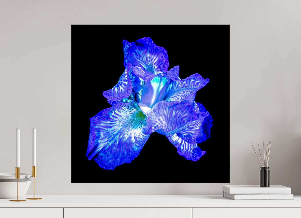 The Opal of Shadows - Idealart