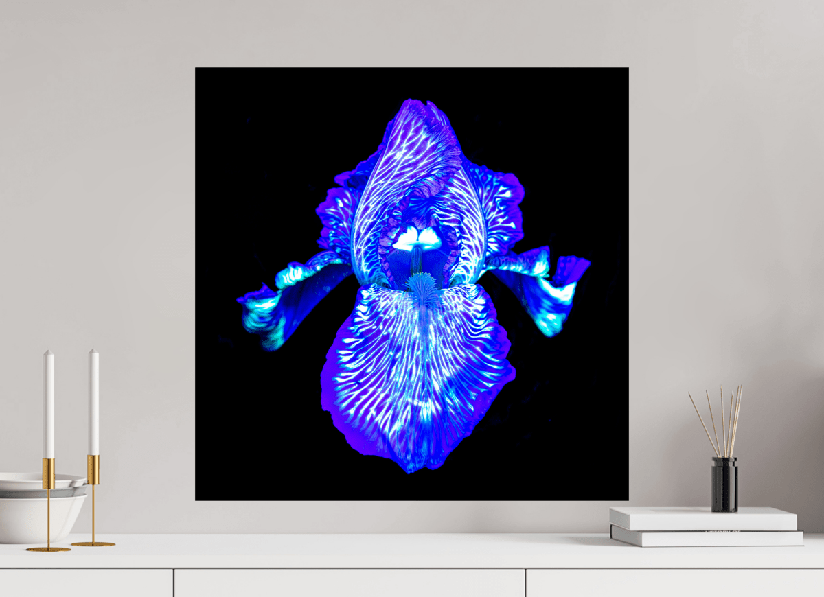 Iris of the Luminous Depths - Idealart