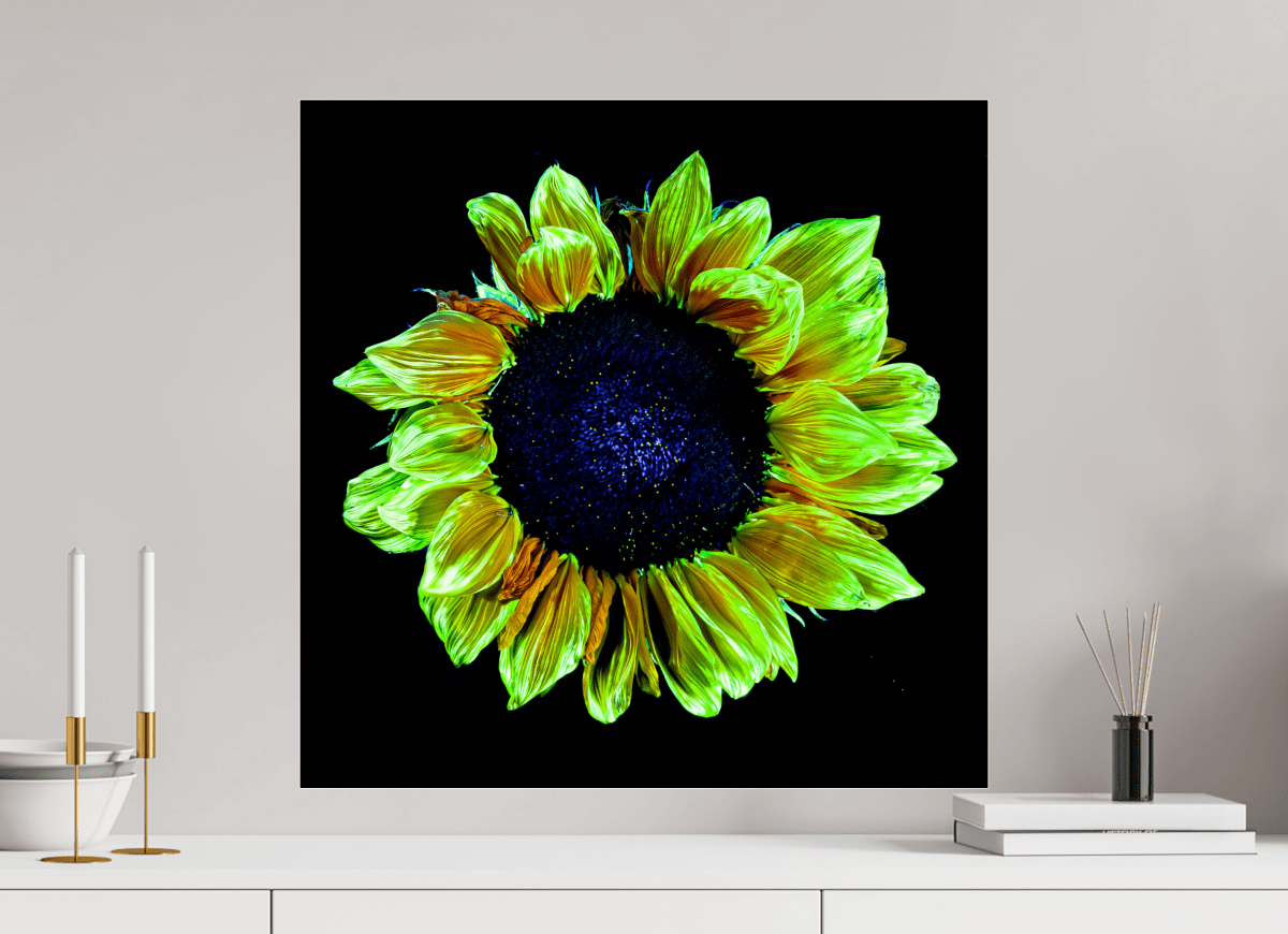 Crown of Light - Idealart