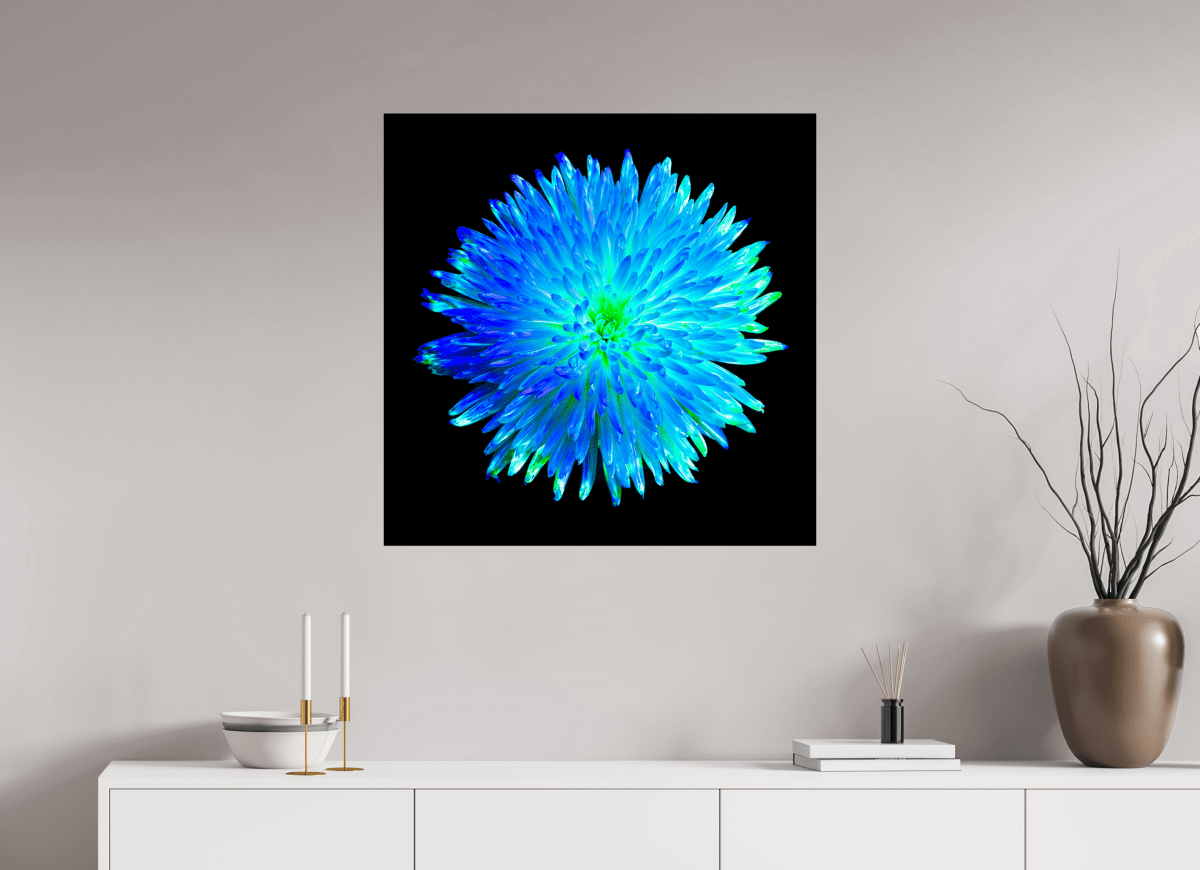 The Blue Star - Idealart