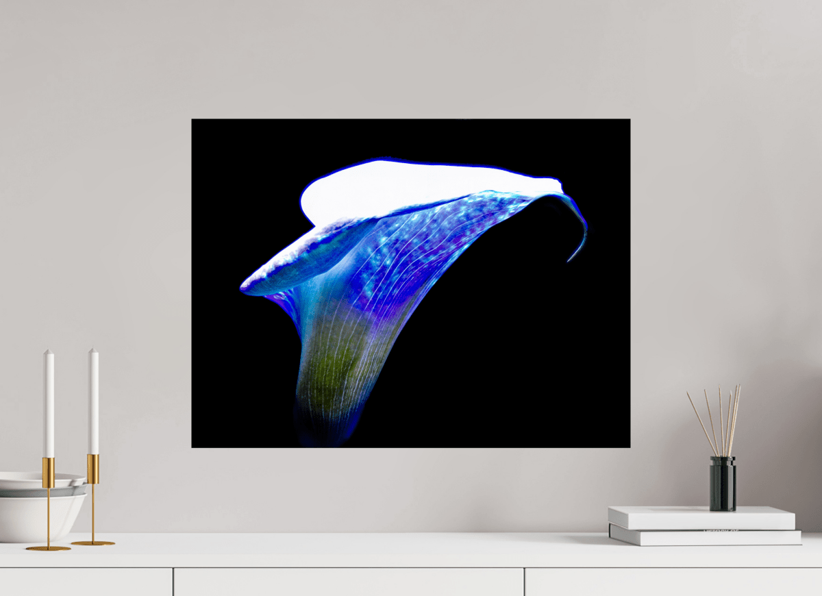 The Wing of Light The Voice of the Ethers - Idealart