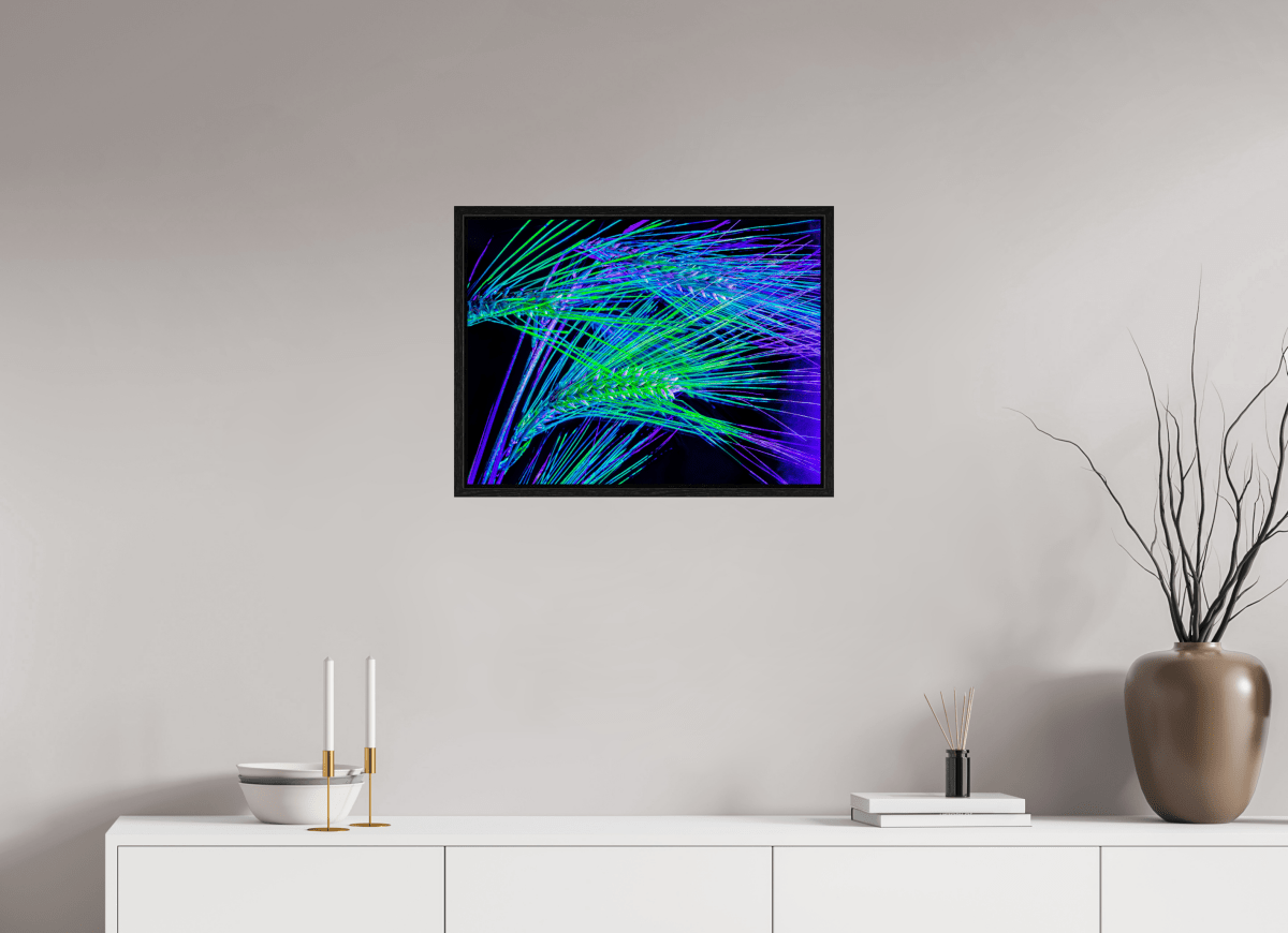 The Lines Where Light Runs - Idealart