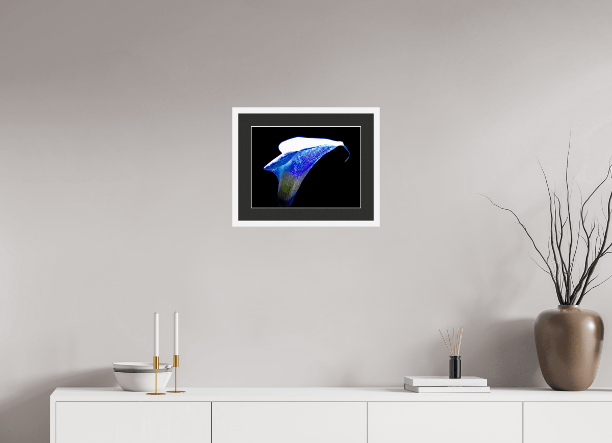 The Wing of Light The Voice of the Ethers - Idealart