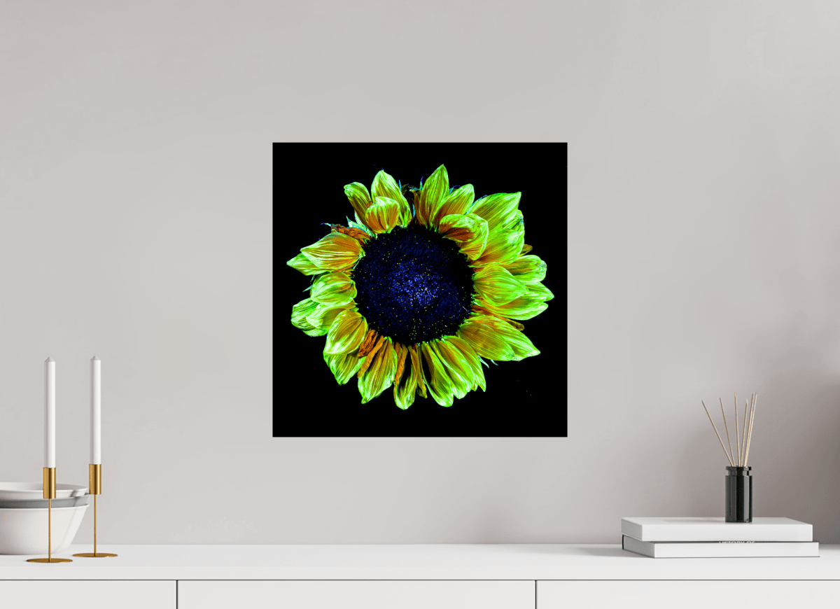 Crown of Light - Idealart