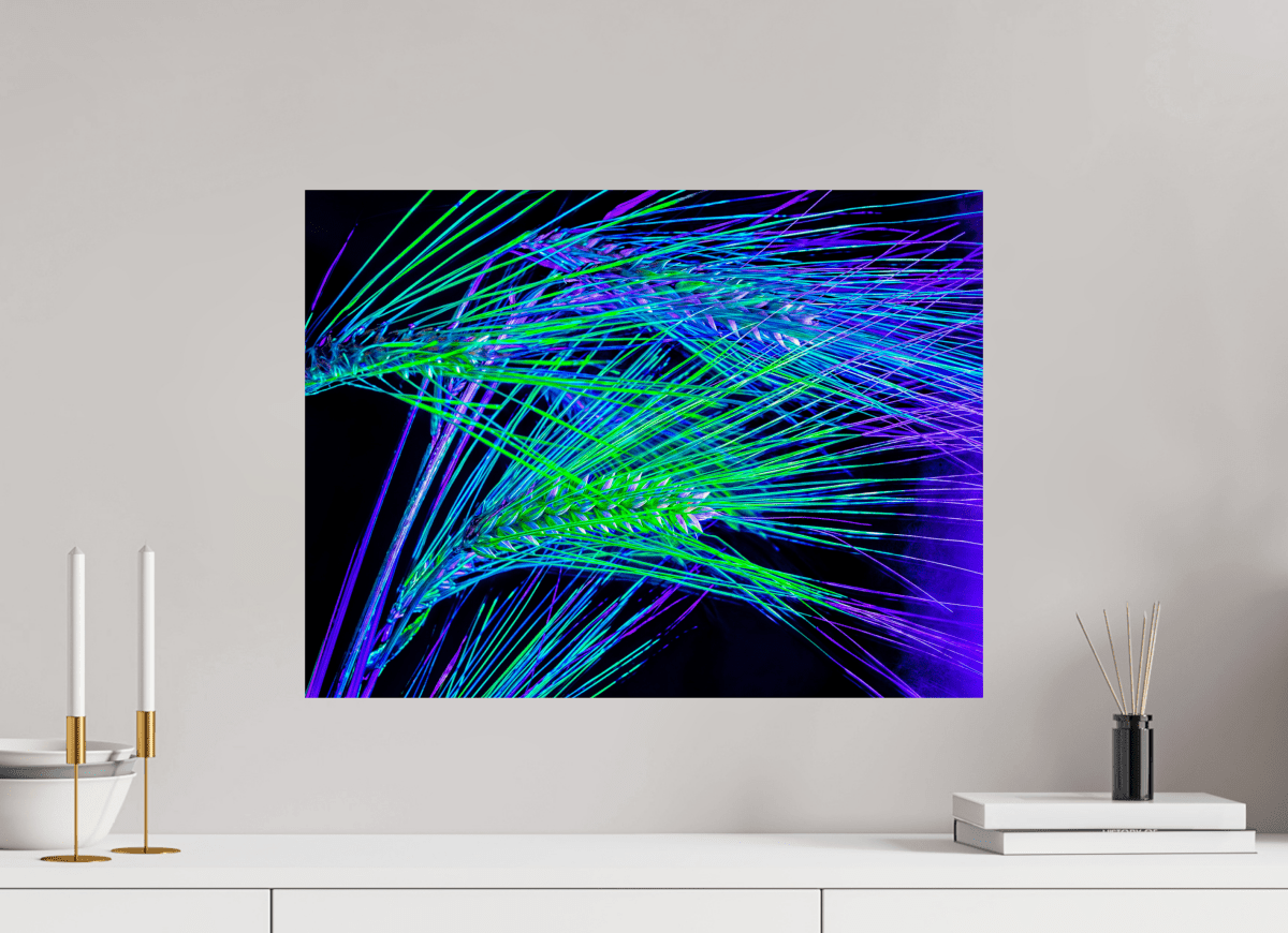 The Lines Where Light Runs - Idealart