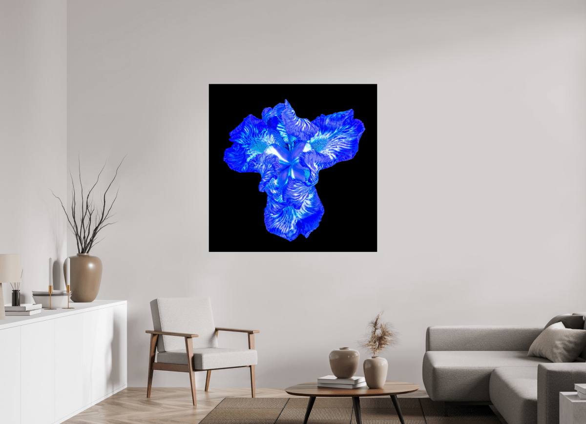 Iris of the Luminous Heart - Idealart