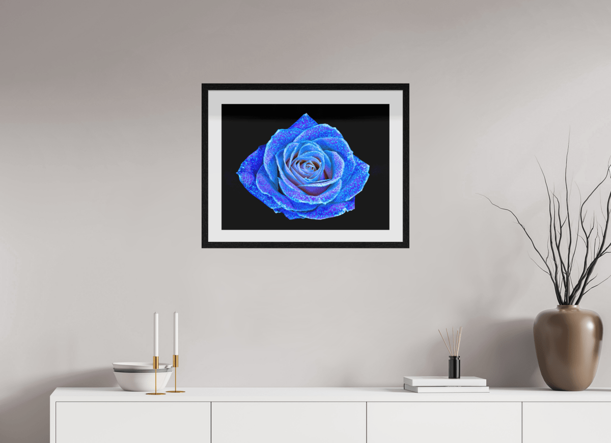 The Rose of a Thousand Constellations - Idealart