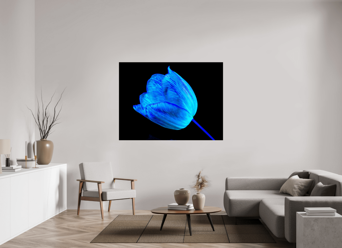 Sheltered by your light - Idealart