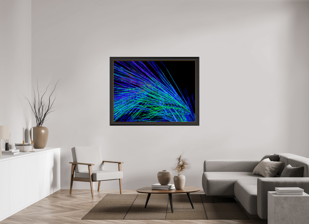 Dance of the Electric Ears - Idealart