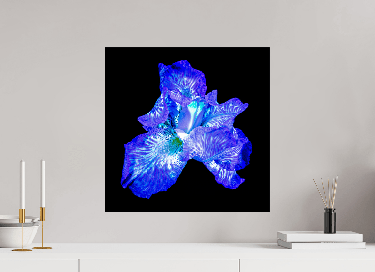 The Opal of Shadows - Idealart