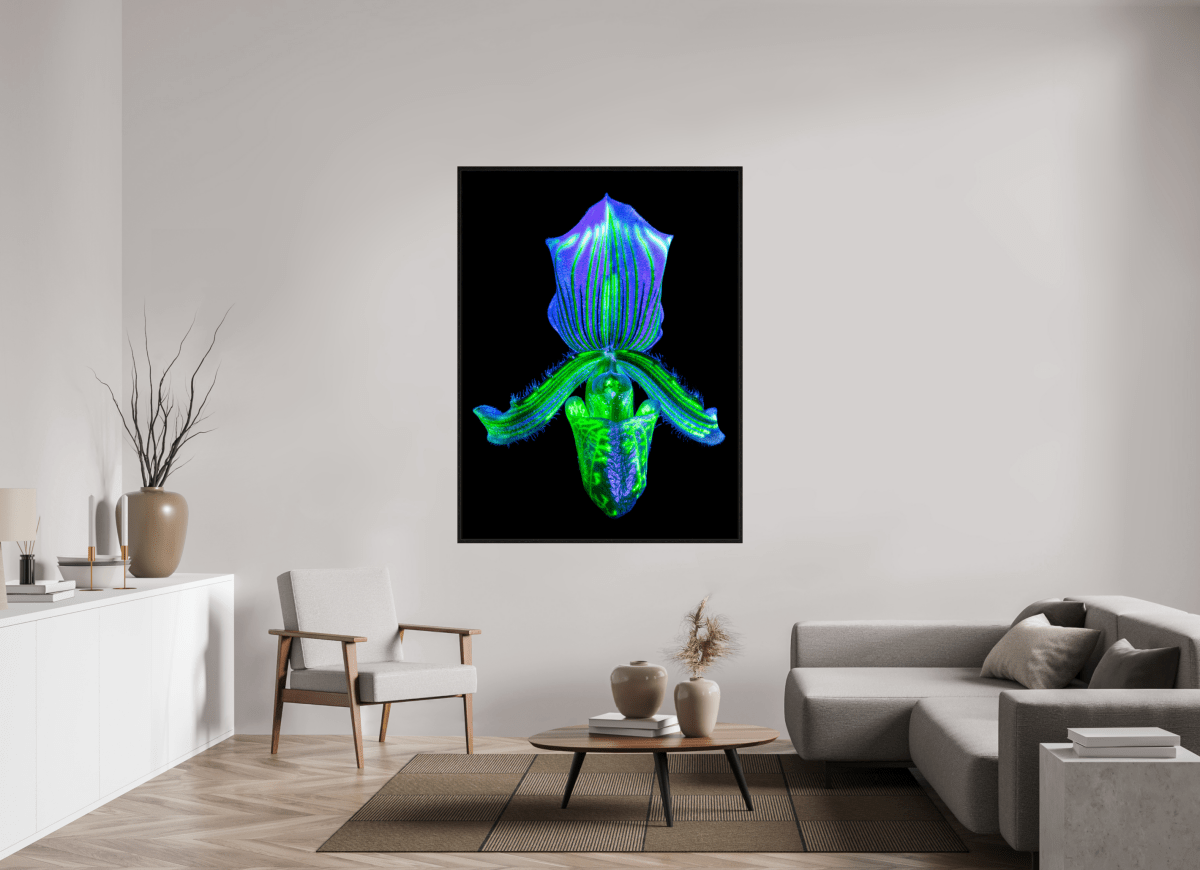 L’Éclat Secret du Désir - Idealart