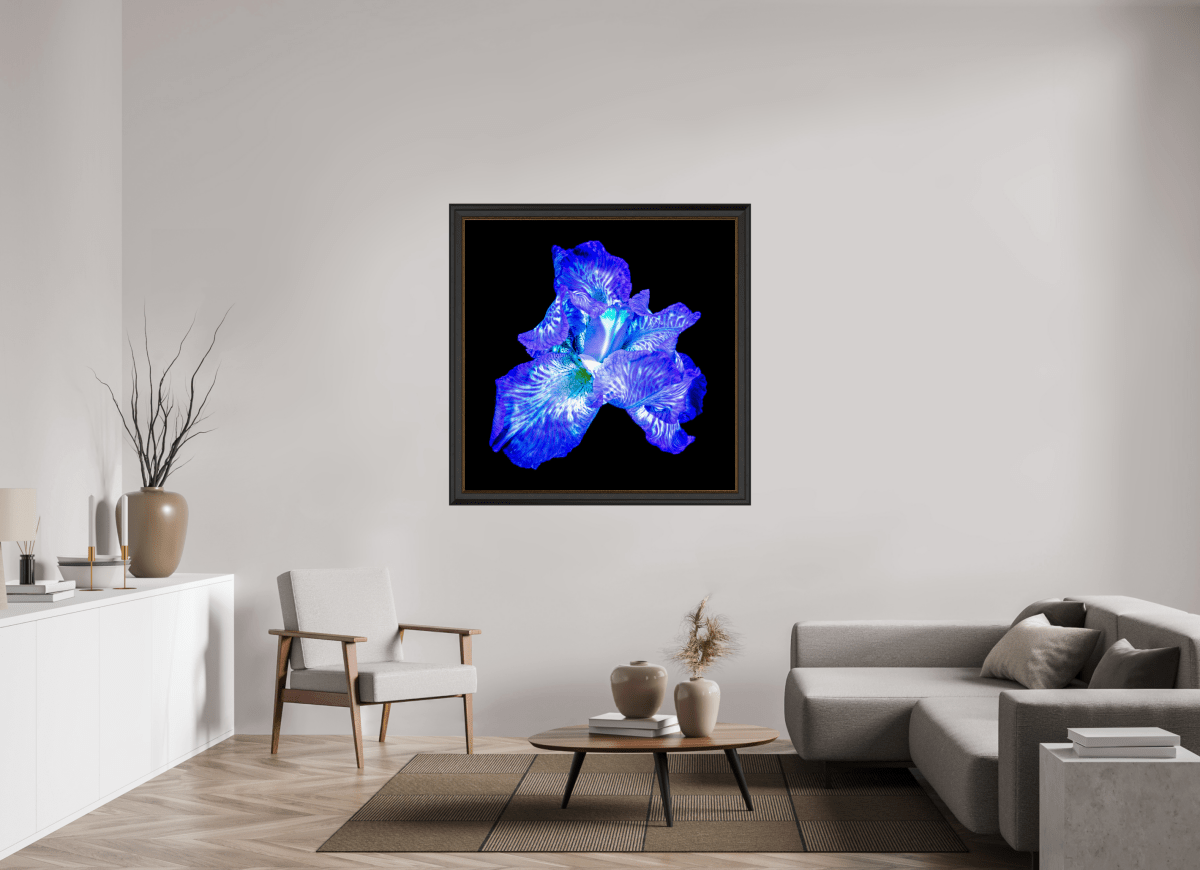 The Opal of Shadows - Idealart