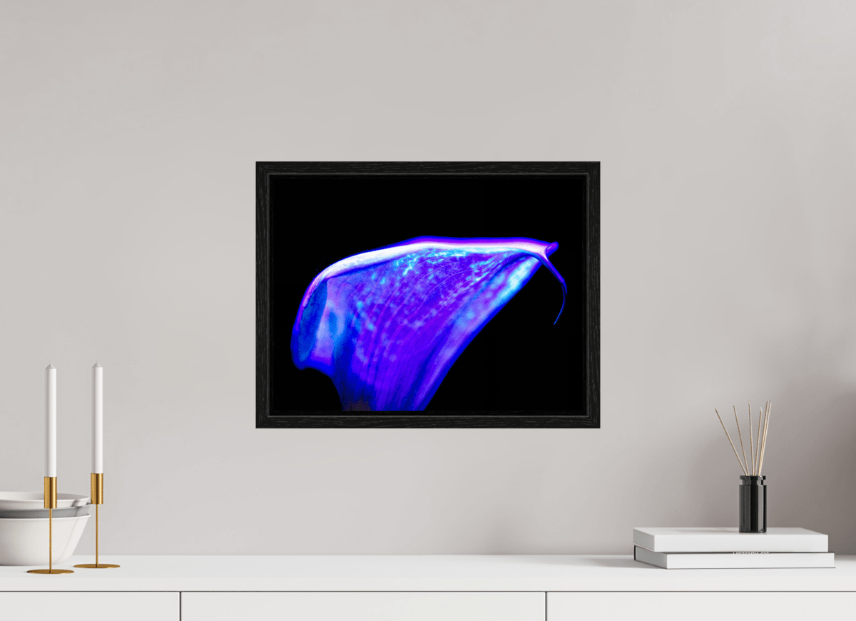 A purple wave on the edge of silence - Idealart