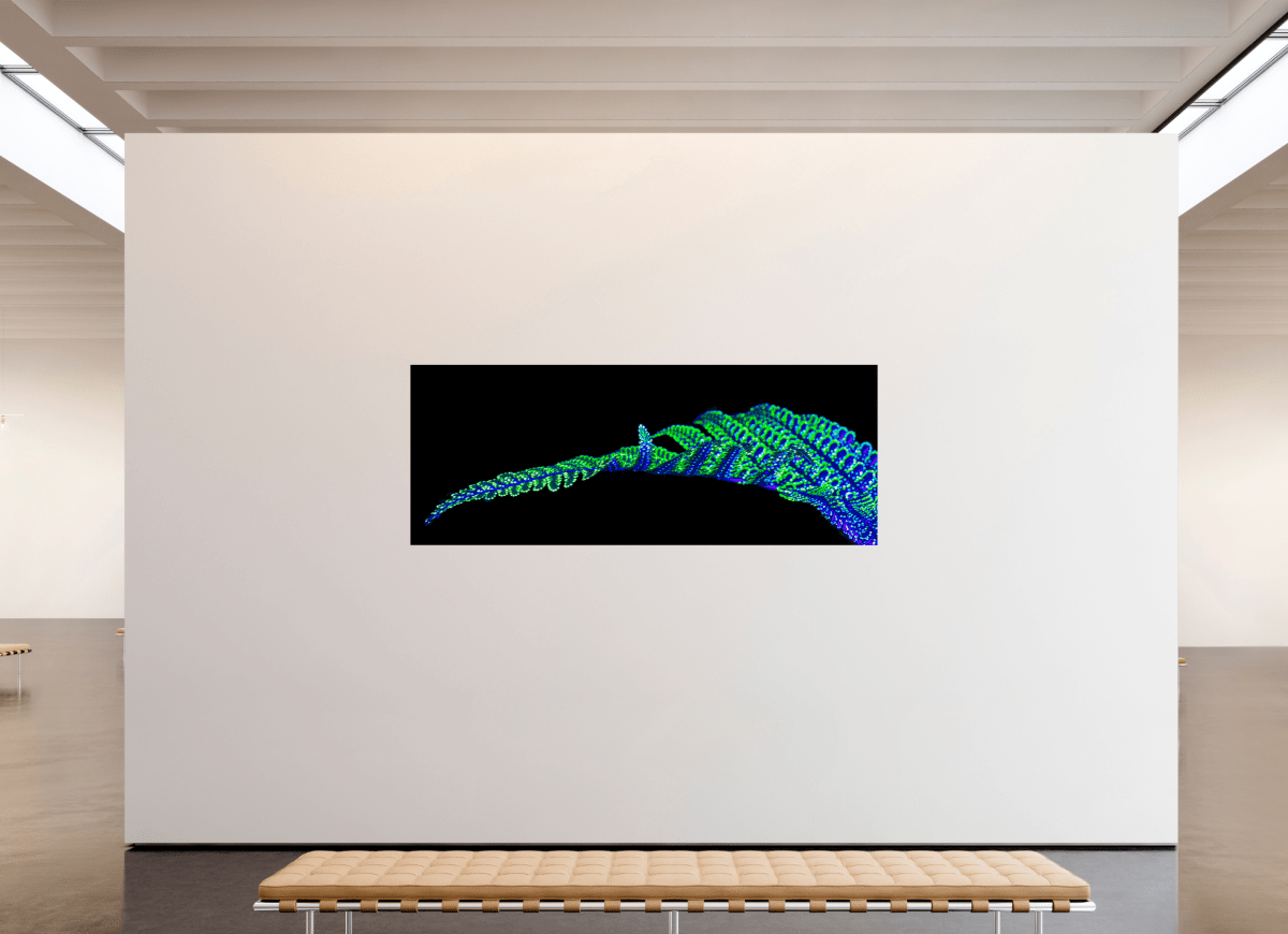 The Line of Origins - Idealart