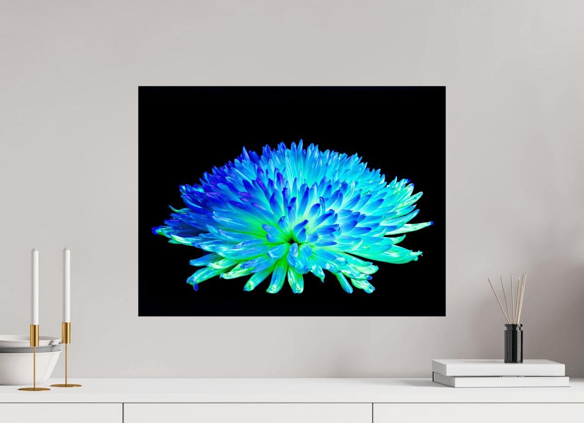 Splendor of an Unknown World - Idealart