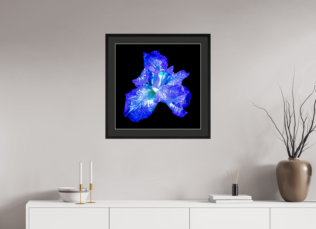 The Opal of Shadows - Idealart