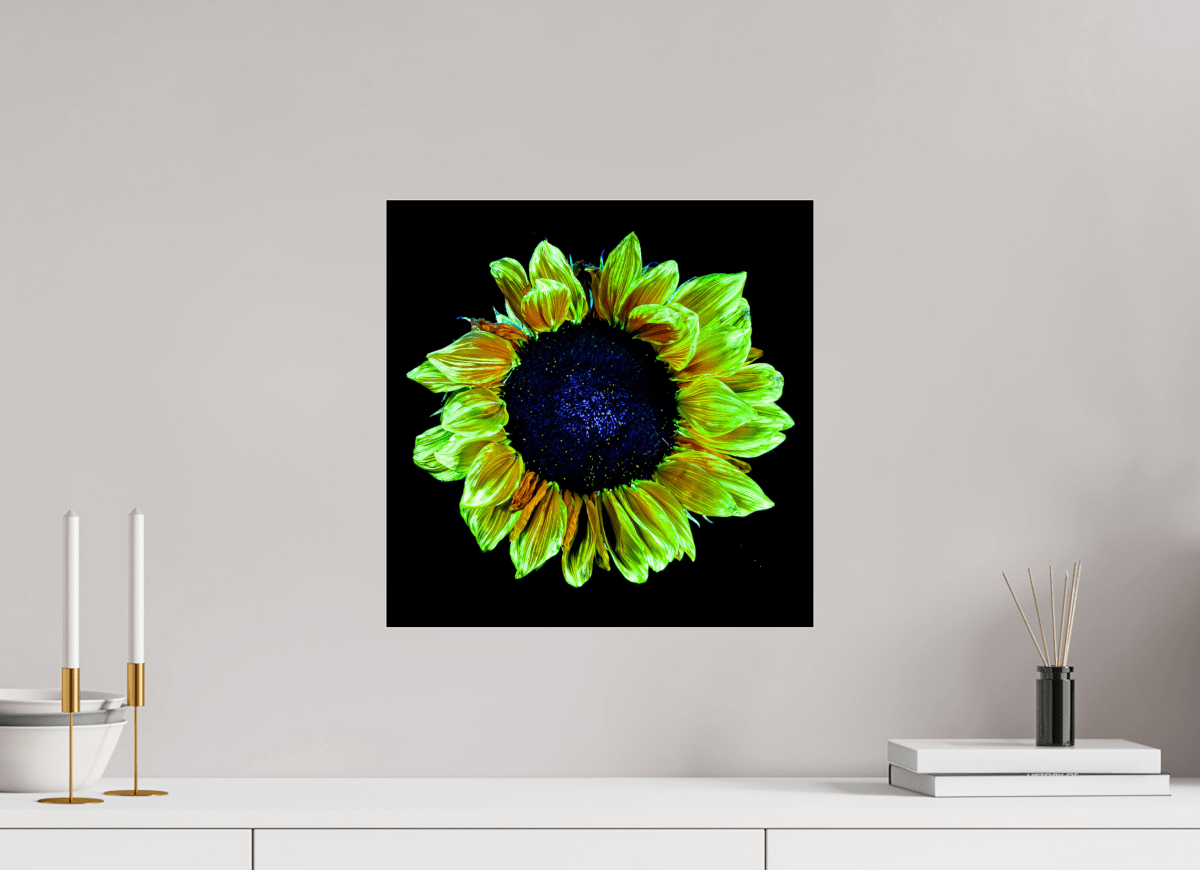 Crown of Light - Idealart