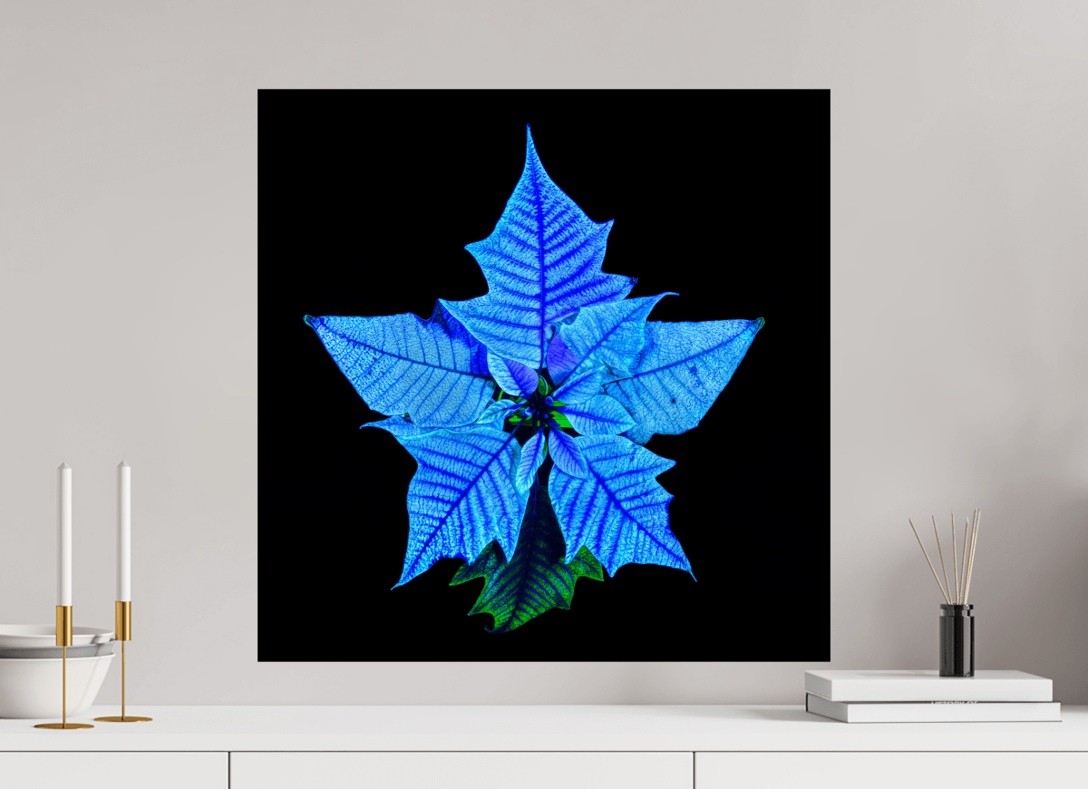 The Cosmic Flower That Whispers Your Name - Idealart