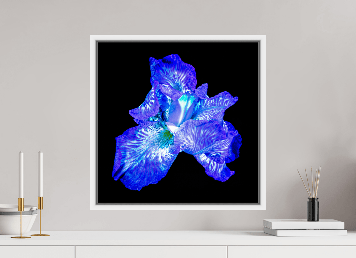 The Opal of Shadows - Idealart