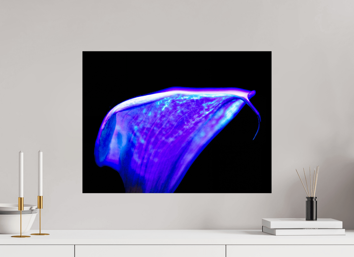 A purple wave on the edge of silence - Idealart