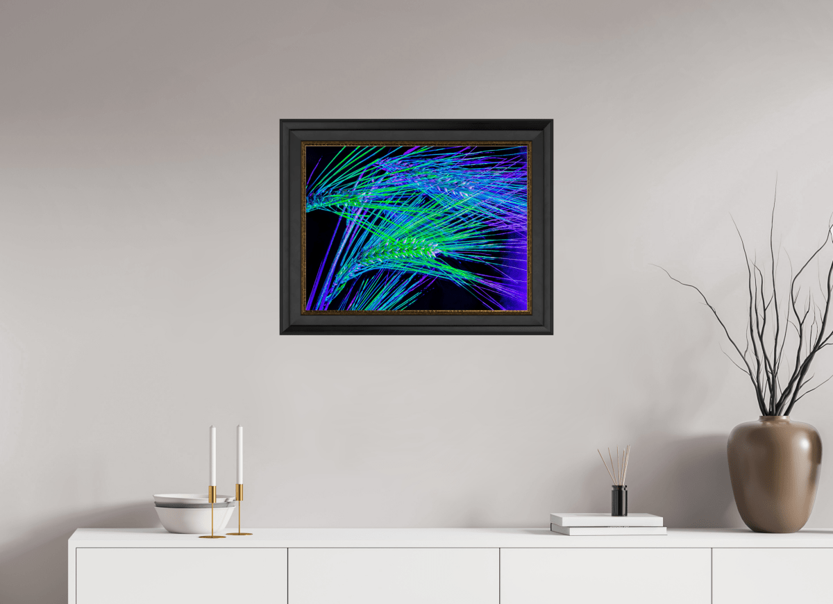 The Lines Where Light Runs - Idealart