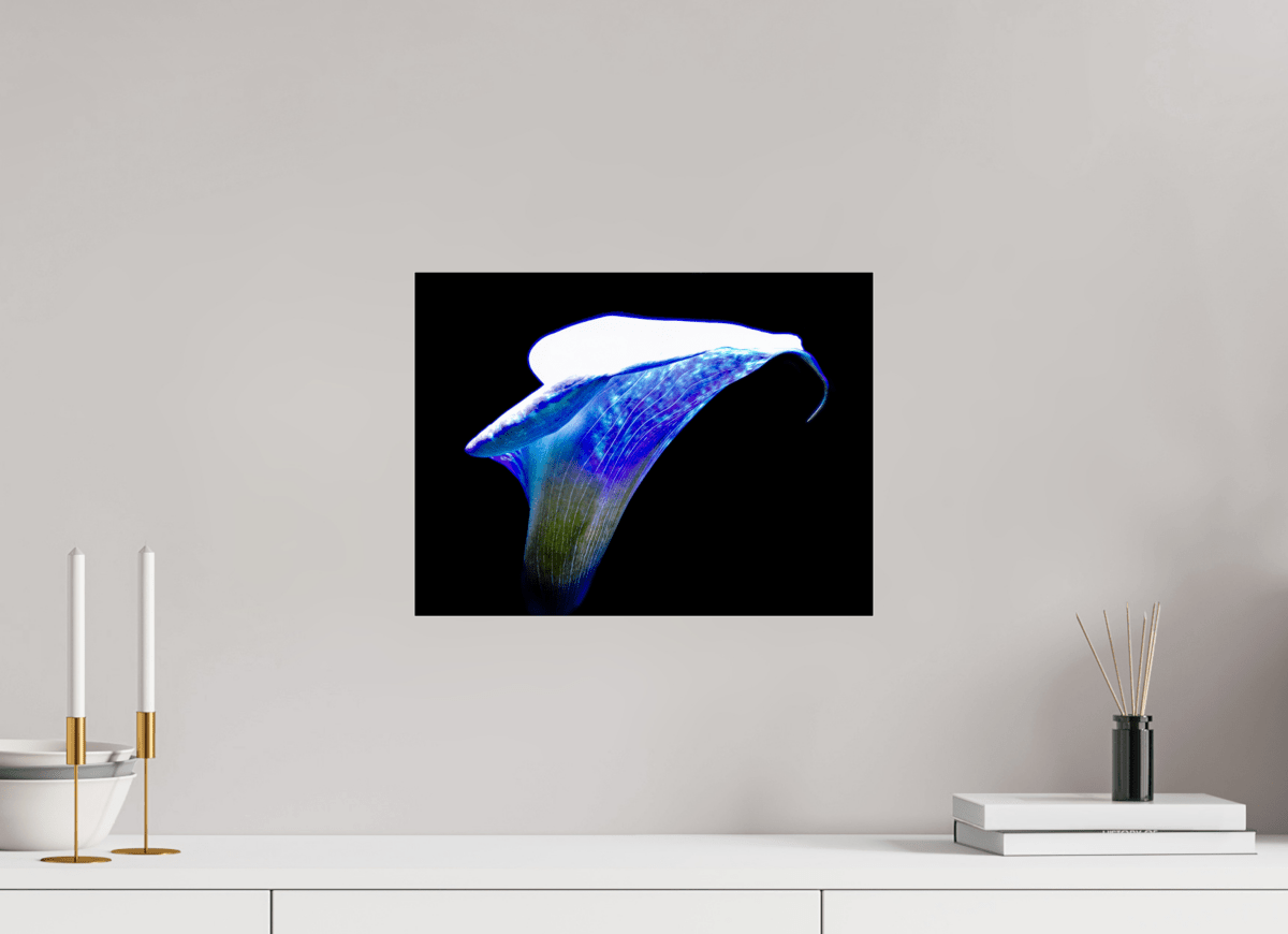 The Wing of Light The Voice of the Ethers - Idealart