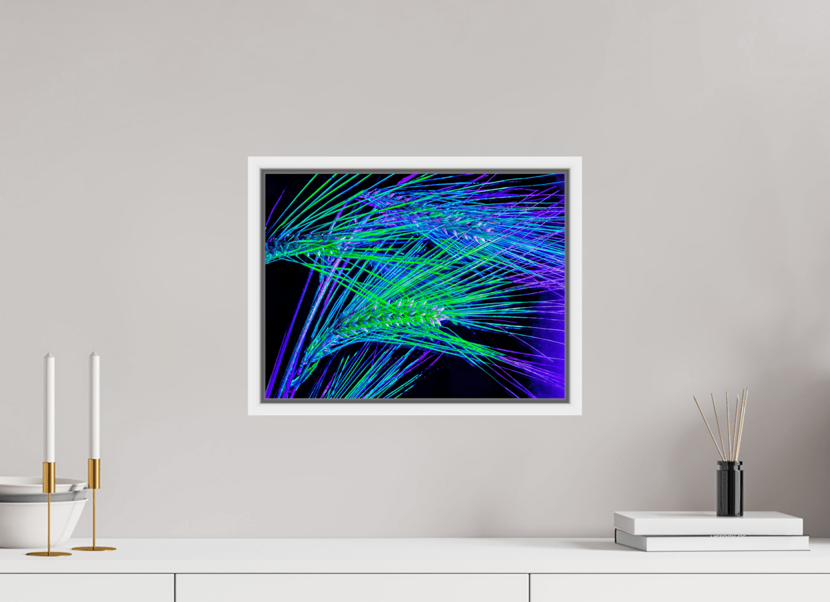 The Lines Where Light Runs - Idealart