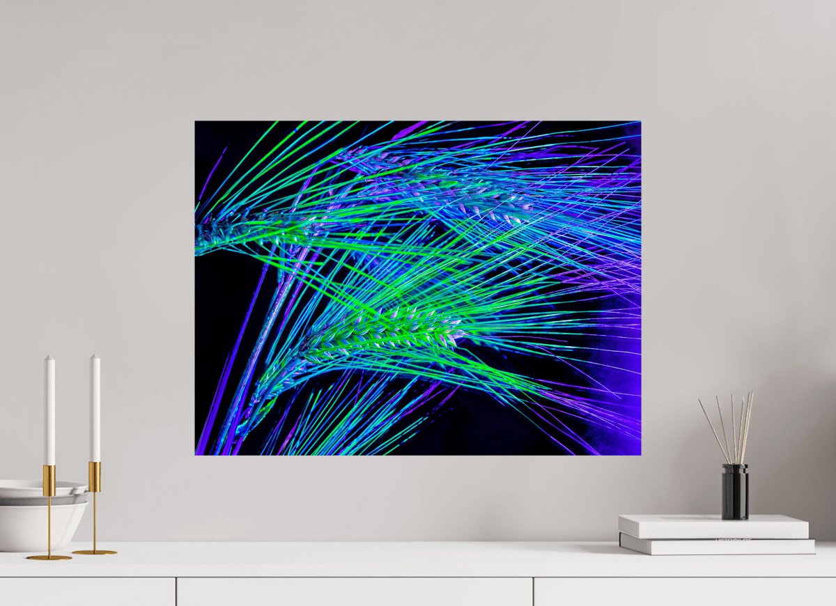 The Lines Where Light Runs - Idealart