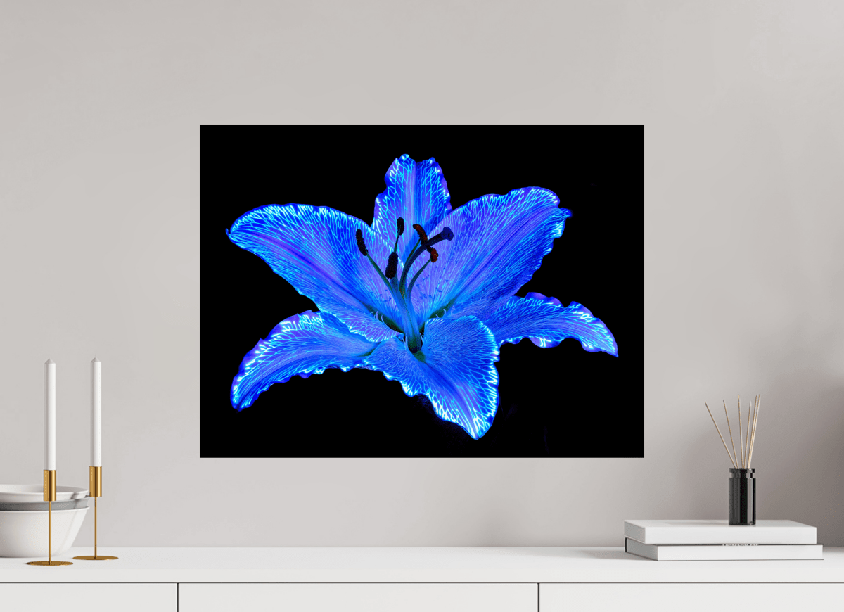 The Astral Lily - Idealart