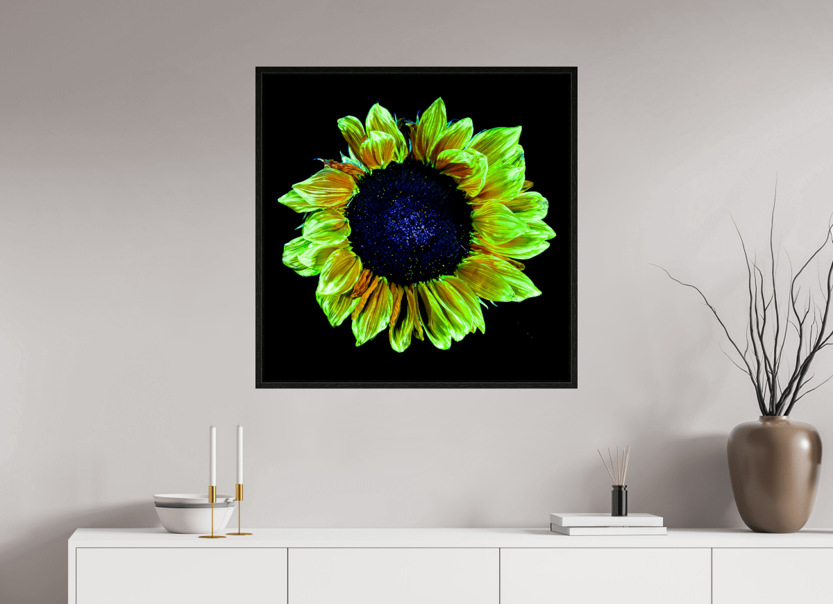 Crown of Light - Idealart