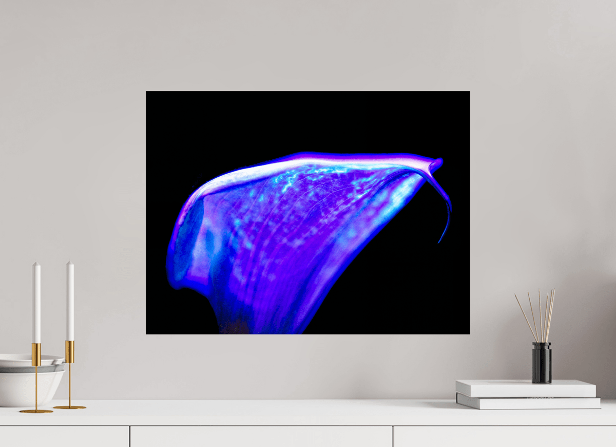 A purple wave on the edge of silence - Idealart