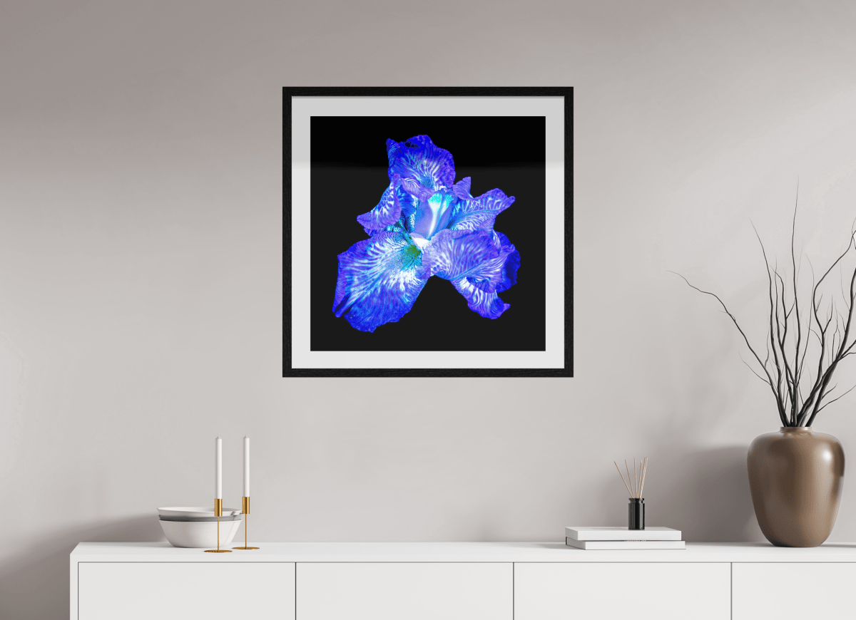 The Opal of Shadows - Idealart