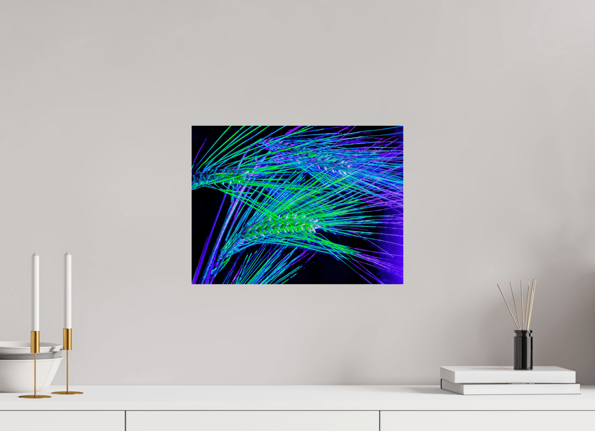 The Lines Where Light Runs - Idealart