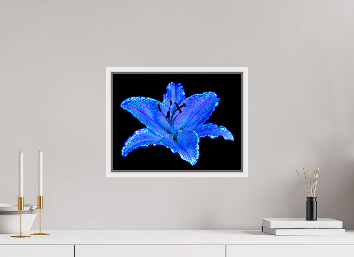 The Astral Lily - Idealart