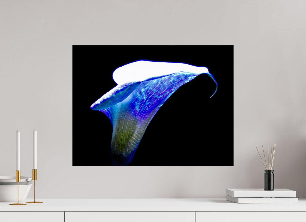 The Wing of Light The Voice of the Ethers - Idealart