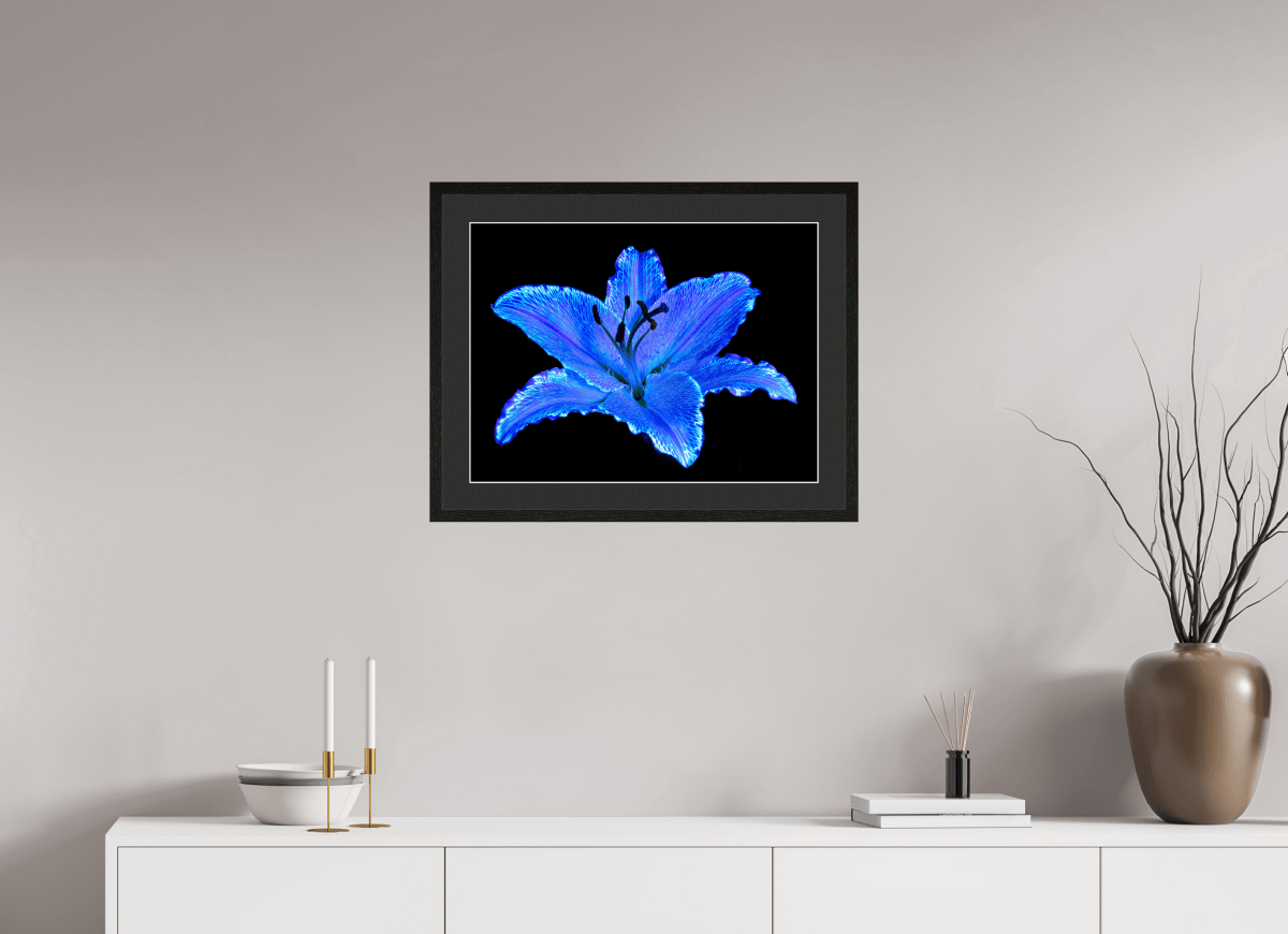 The Astral Lily - Idealart